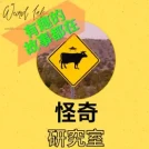 晴天整合行銷有限公司